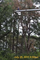 Entergy 027
